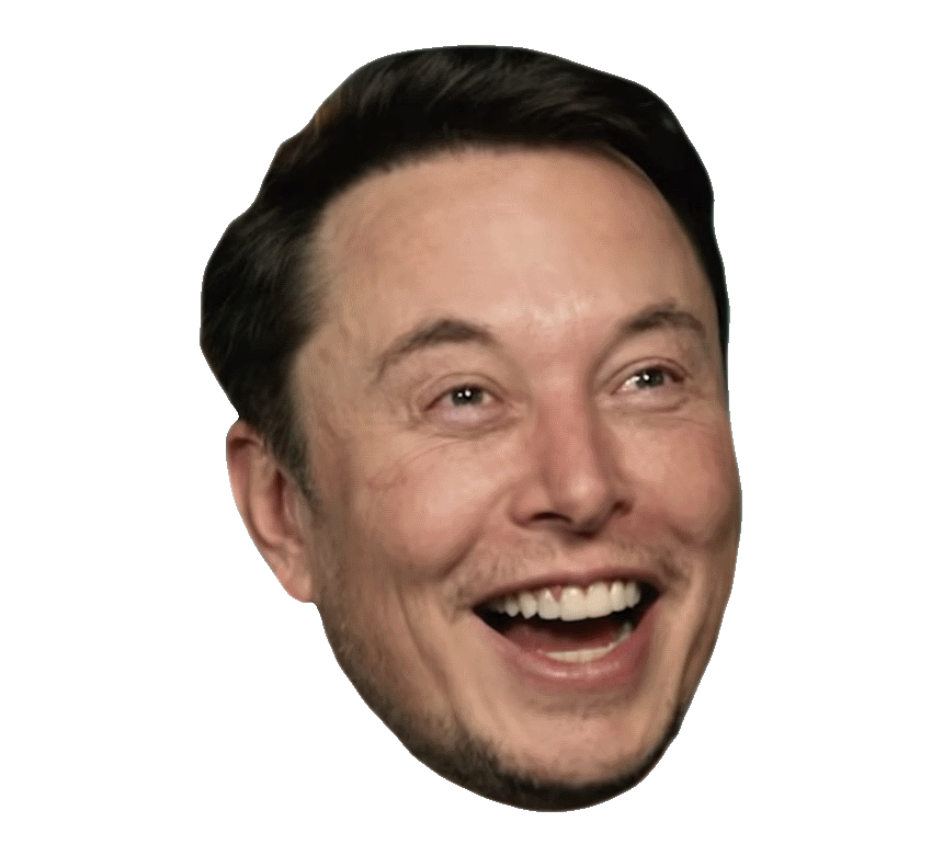 lord musk's face